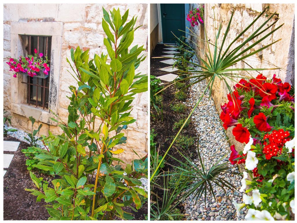 Veig Apartmán Split